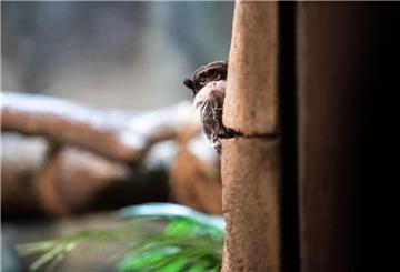 Hinter den Kulissen: Zoo am Meer gibt Einblicke in das Privatleben der Tiere