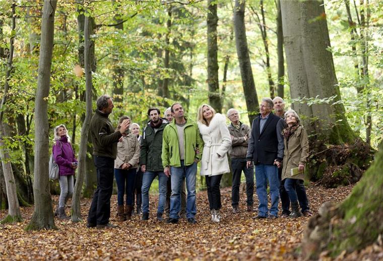 Bei einer kostenlosen Führung durch den FriedWald können Interessierte Fragen zu Kosten und Beisetzungsarten stellen.