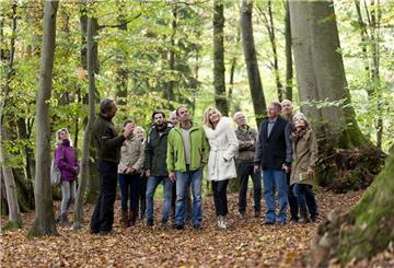 Bei einer kostenlosen Führung durch den FriedWald können Interessierte Fragen zu Kosten und Beisetzungsarten stellen.