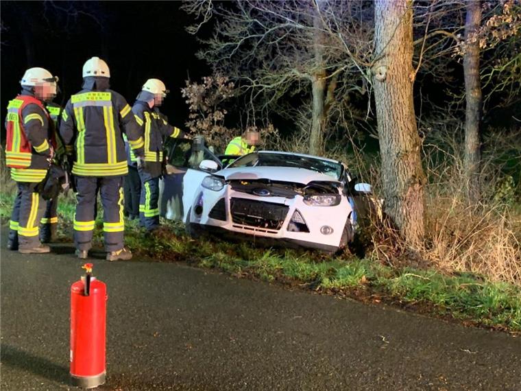 Autofahrer kollidiert bei Holßel mit Reh Bei Holßel ist ein Auto mit einem Reh kollidiert.
