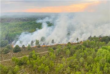 Bei Jüterborg in Brandenburg kam es in diesem Monat bereits zu einem Waldbrand.