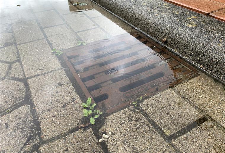 Starkregen: So kann man Haus und Grundstück schützen Bei Starkregen stehen schnell ganze Straßenzüge unter Wasser.