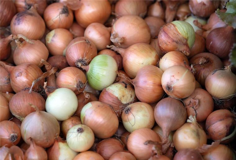 Gemüsediebe stehlen im Landkreis Rotenburg 120 Kilo Zwiebeln Bei Steddorf haben drei Männer rund 120 Kilogramm Zwiebeln geklaut.