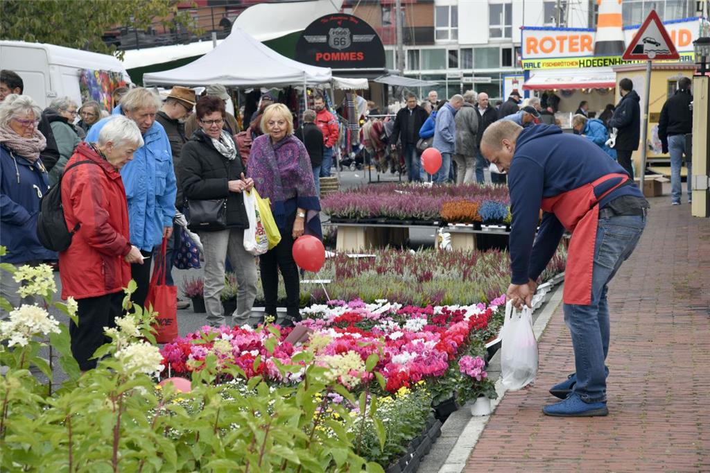 Beim Bauernmarkt im Fischereihafen waren auch viele bunte Blumen im Angebot.
