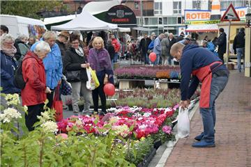 Beim Bauernmarkt im Fischereihafen waren auch viele bunte Blumen im Angebot.