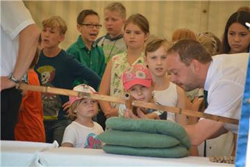 Beim Beerster Schützenfest wurden am Wochenende die neuen Majestäten ermittelt. ...