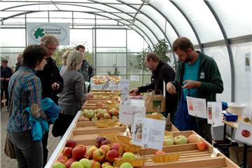 Beim diesjährigen Apfeltag in Badenstedt zeigten die Besucher großes Interesse an heimischen Obstsorten.
