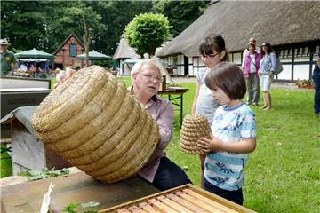 Beim Fest zum 100-jährigen Bestehen des Imkervereins Wesermünde erfuhren die Gäste zum Beispiel, wie ein Bienenkorb aufgebaut ist.