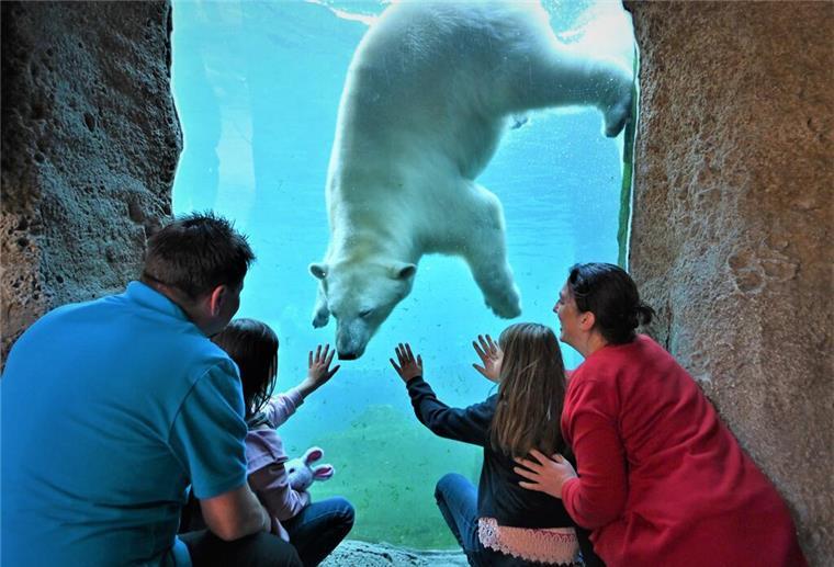 Ein Tag als Forscher: Bald ist wieder Forschertag im Zoo am Meer Beim Forschertag im Zoo am Meer können die Besucher die Wunder der Natur entdecken.
