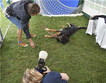 Beim Fotoshooting hatten Undine Schmidt, „Model“ Rex und Fotografin Carola Reese alle Hände voll zu tun.