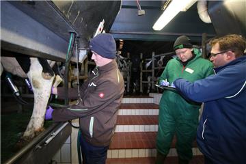 Beim Melkwettbewerb zeigten die Teilnehmer ihr Geschick beim Umgang mit Tieren und Technik. Die Prüfer vergaben für die zahlreichen Handgriffe Punkte.