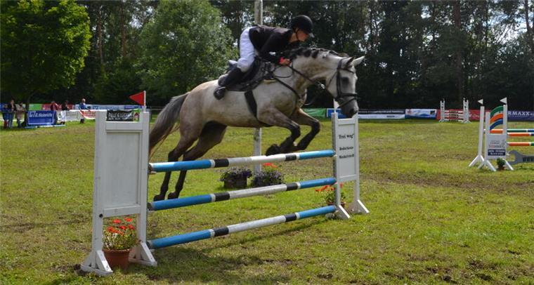 Das ist alles los am Wochenende beim Reitturnier in Ankelohe