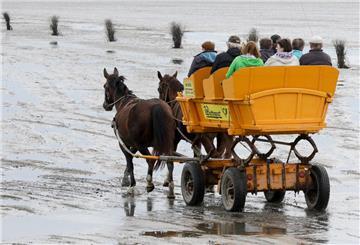 Ein Wattwagen fährt vor Cuxhaven durch das Watt vor der Insel Neuwerk. 