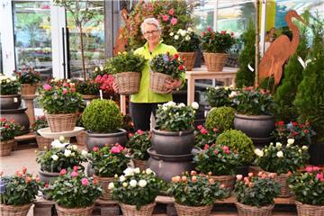 Beim verkaufsoffenen Sonntag am 28. April dreht sich beim Gartencenter Wassenaar in Bremerhaven-Wulsdorf fast alles um die Pflanzzeit, die im Frühling begonnen hat.