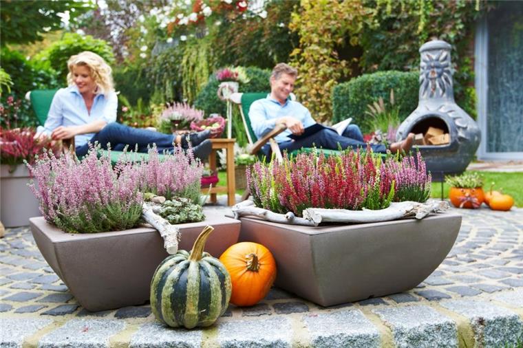 Verkaufsoffener Sonntag in Bremerhaven-Wulsdorf lockt mit tollen Angeboten Beim Wassenaar Garten Center in Bremerhaven-Wulsdorf ist am 9. September von 13 bis 18 Uhr verkaufsoffener Sonntag.