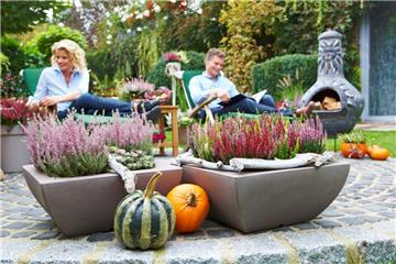 Beim Wassenaar Garten Center in Bremerhaven-Wulsdorf ist am 9. September von 13 bis 18 Uhr verkaufsoffener Sonntag.