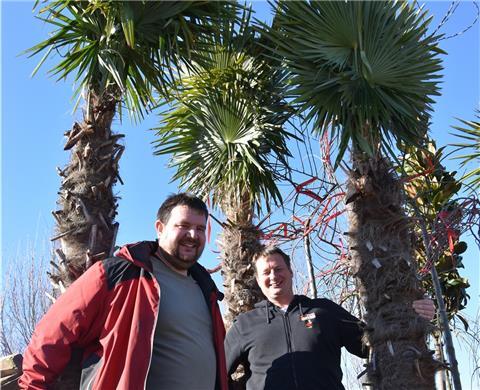 Benjamin und Bastian Peters unter Palmen