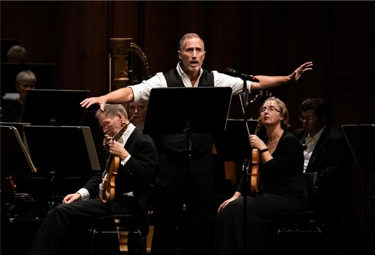 Mann in einem Orchester.