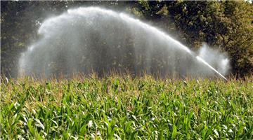 Beregnungsanlagen im Mais sind auch in diesem Sommer keine Seltenheit. Rund 60 Kubikmeter Wasser fördert die Pumpe pro Stunde.  
