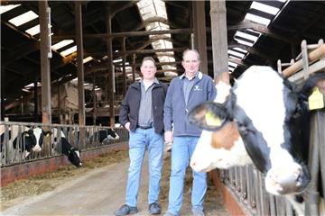 Bernd Claussen (links) und Günter Abbenseth wissen nicht, ob sie ihre Tiere im kommenden Jahr auf die Weiden am Königsmoor lassen sollen. Der Wolf hat in ihren Herden jeweils ein hochtragendes Rind gerissen. Die Tiere waren tagelang „außer Rand und Band“.