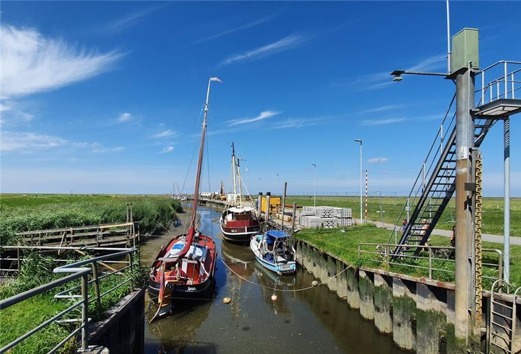 Berufsfischer machen für die Zeit der Sanierungsarbeiten am Kutterhafen in Spieka-Neufeld in Dorum-Neufeld fest. Für Freizeitkapitäne gibt es dagegen „Anker“-Möglichkeiten im Spieka-Neufelder Sielhafen.