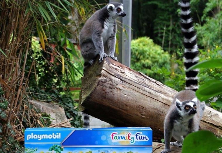 Zoo in der Wingst verlost Mini-Tierpark Besucher des Tierparks können fünfmal den Spielekarton „Mein kleiner Zoo“ gewinnen.