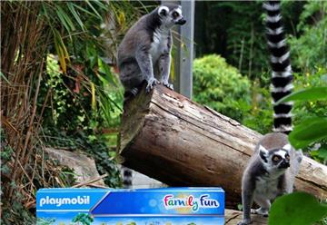 Besucher des Tierparks können fünfmal den Spielekarton „Mein kleiner Zoo“ gewinnen.
