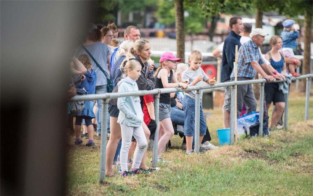 Besucher sehen bei den Dressurprüfungen zu. Foto: Hartmann