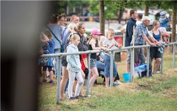 Besucher sehen bei den Dressurprüfungen zu. Foto: Hartmann