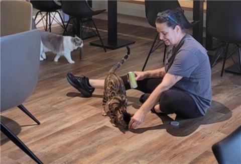Frau füttert Katze mit Leckerlis.