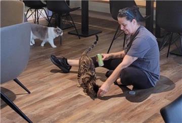 Frau füttert Katze mit Leckerlis.