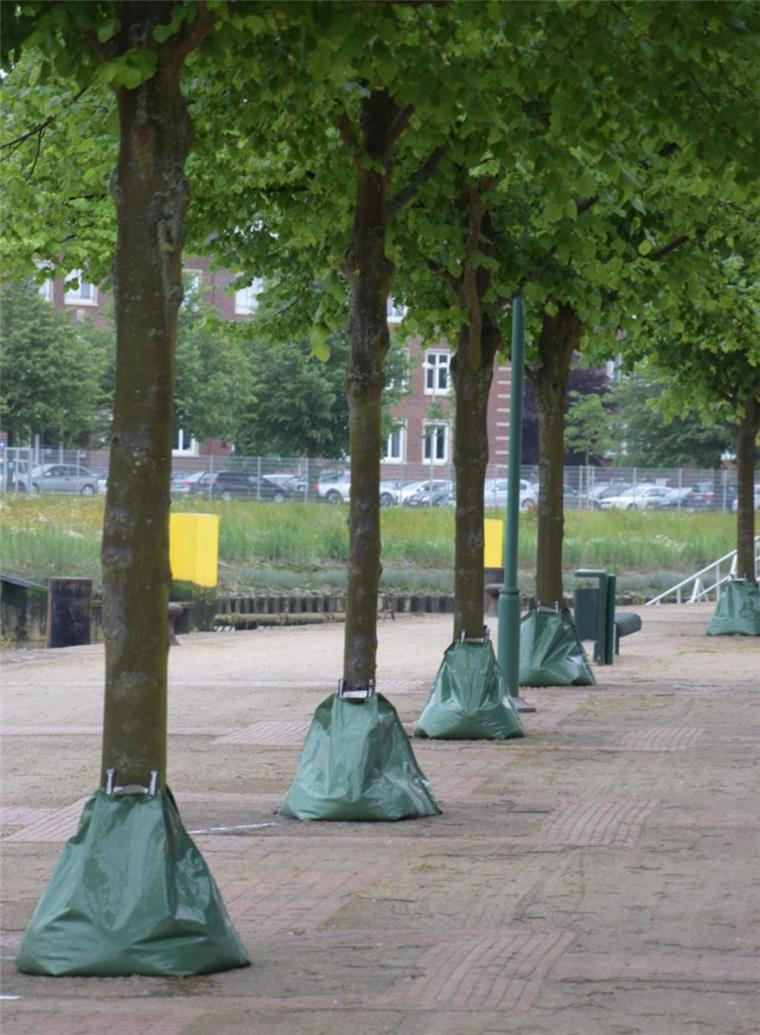 Bewässerungssäcke sollen den Bäumen in Bremerhaven helfen, trotz der langen Trockenheit zu überleben.