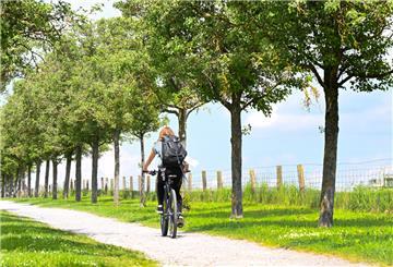 Bewegung ist das A und O für einen gesunden Körper, auch das Radfahren in der Natur.