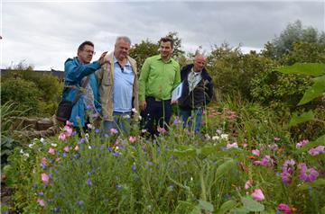 Bezirksfachberater Oliver Henrikson erläutert Gerd Mindermann (Vorsitzender des Bezirksverbands der Gartenfreunde Bremerhaven-Wesermünde), Gartenbaudezernent Maurice Müller (Grüne) sowie Frank Rabus (Kleingartenverein Geesthelle), welche Pflanzen sich auf der Blühwiese auf Geesthelle angesiedelt haben. 