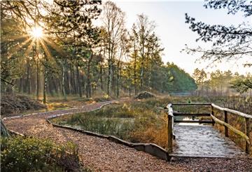 Bietet zu jeder Jahreszeit stimmungsvolle Bilder: der Nordpfad "Dör’t Moor" bei Rotenburg.