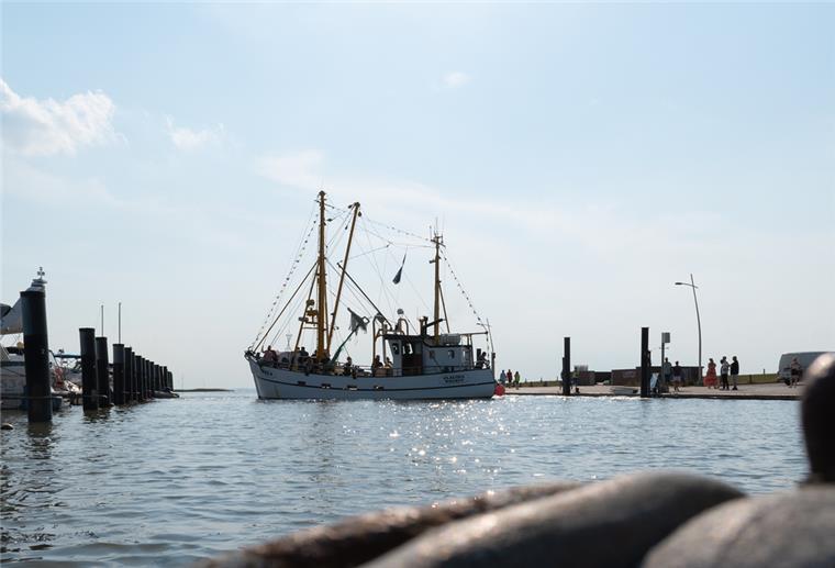Wremen: Touristenfahrten statt Krabbenfischen Wremen: Touristenfahrten statt Krabbenfischen