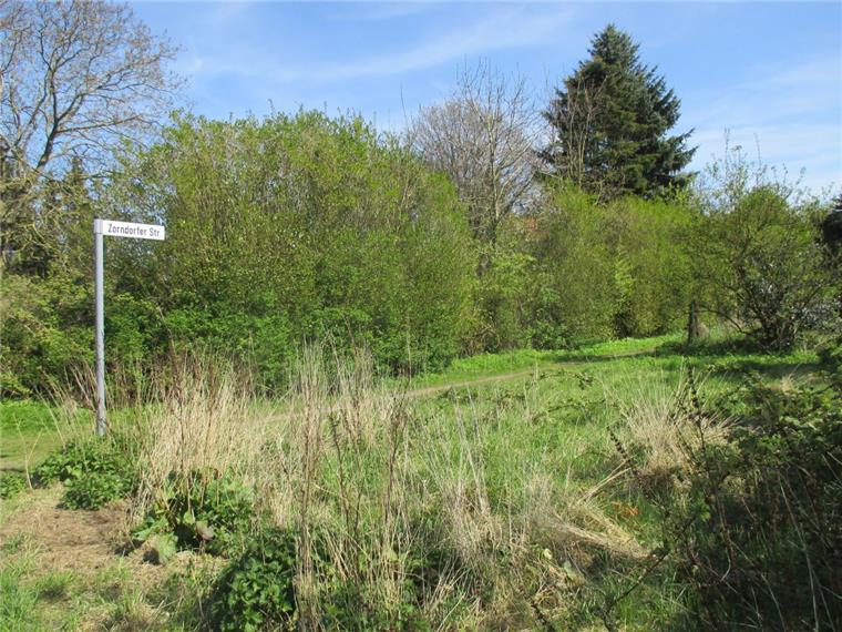 Das "Auenland" zwischen Eckernfeld und Hafenrand bietet Idylle pur und auch verwahrloste Gärten als Müll- und Schrotthalden. Die Stadt will das ganze Gelände aufwerten und auch Baugrundstücke anbieten.