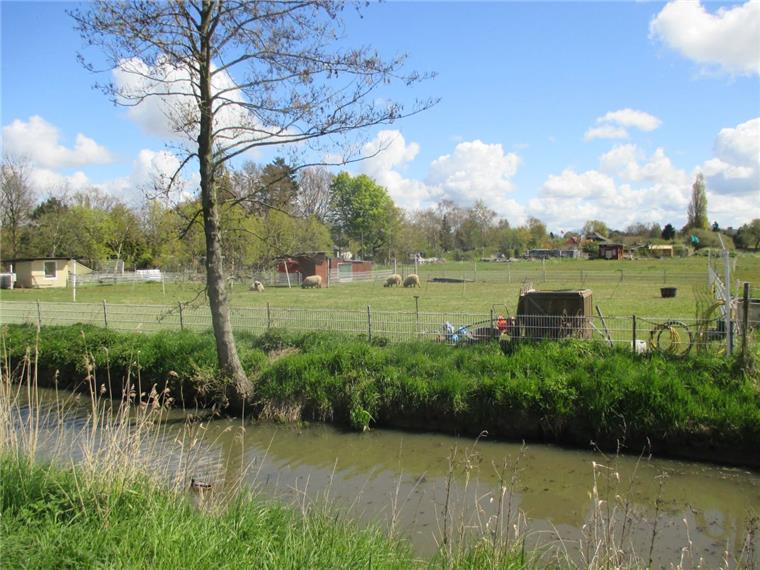 Das "Auenland" zwischen Eckernfeld und Hafenrand bietet Idylle pur und auch verwahrloste Gärten als Müll- und Schrotthalden. Die Stadt will das ganze Gelände aufwerten und auch Baugrundstücke anbieten.