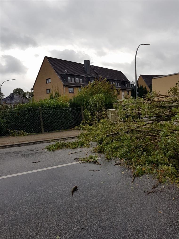 Umgestürzte Bäume, Dach abgedeckt: Sturm Xavier wütet in Bremerhaven und umzu Umgestürzte Bäume, Dach abgedeckt: Sturm Xavier wütet in Bremerhaven und umzu