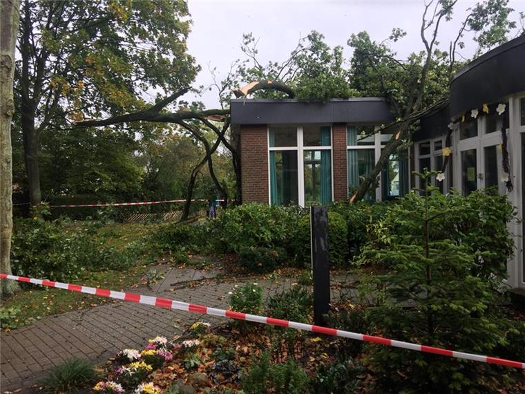 Umgestürzte Bäume, Dach abgedeckt: Sturm Xavier wütet in Bremerhaven und umzu Umgestürzte Bäume, Dach abgedeckt: Sturm Xavier wütet in Bremerhaven und umzu