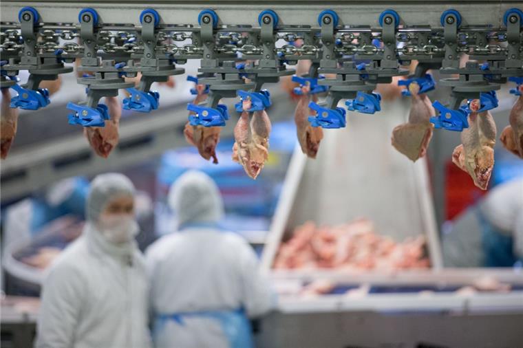 Wiesenhof investiert in Kunst-Fleisch aus der Petrischale Wiesenhof investiert in Kunst-Fleisch aus der Petrischale