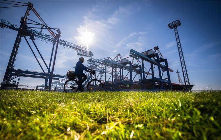 Wir stellen 10 Gründe vor, warum der Deich in Bremerhaven und im Cuxland so geil ist.