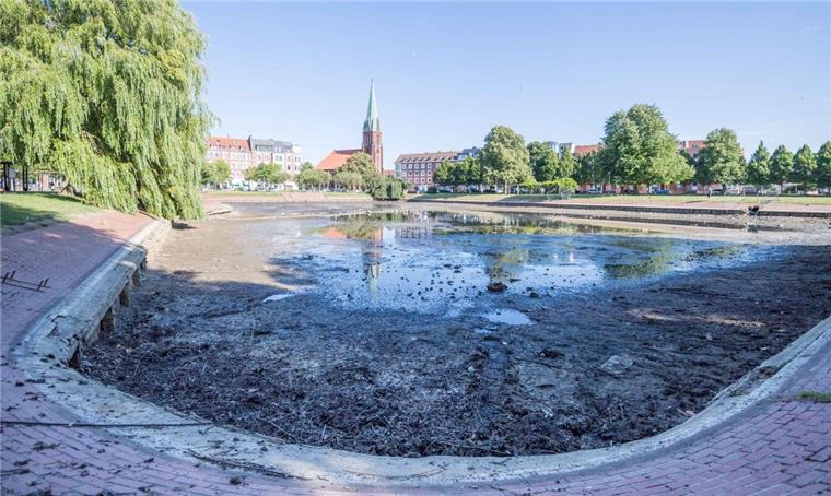Geestemünde: Erster Bauabschnitt am Holzhafen fertig Gartenbaustadtrat Maurice Müller hob hervor, dass bei der Sanierung die historische Ufergestaltung berücksichtigt worden sei. Das Ufer des Holzhafens in Bremerhaven wurde abgeflacht, zum Teil mit Steinschüttungen befestigt und bepflanzt.
