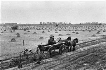 Im Museum Nordenham: Fotos aus einer verschwundenen Welt