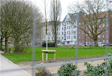 52 junge Zerr-Eichen auf dem Waldemar-Becké-Platz gepflanzt