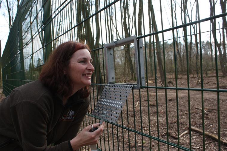 Wo die Wölfe heulen - eine Nacht im Wolfcenter Dörverden