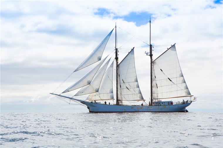 Open Ship auf dem Seestadtfest Bremerhaven: Hier gibt's die Termine Die "Alexander von Humboldt II" kann auf dem Seestadtfest Bremerhaven besichtig werden.