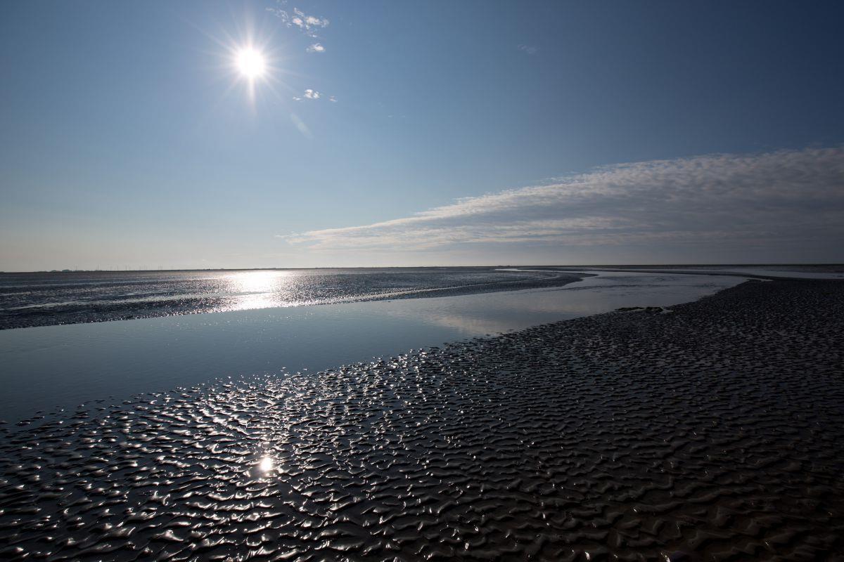 10 Dinge, die ihr beim Wattwandern beachten solltet 10 Dinge, die ihr beim Wattwandern beachten solltet