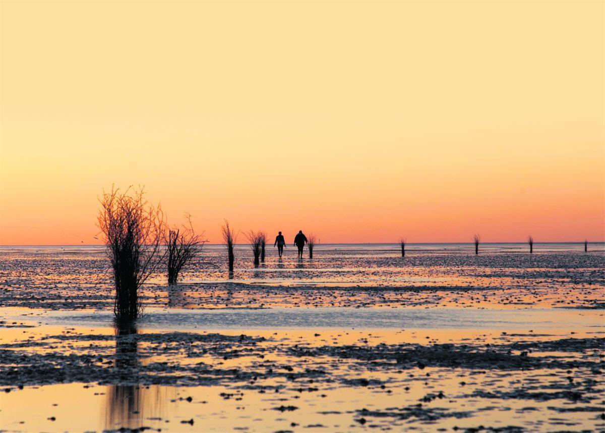10 Dinge, die ihr beim Wattwandern beachten solltet 10 Dinge, die ihr beim Wattwandern beachten solltet