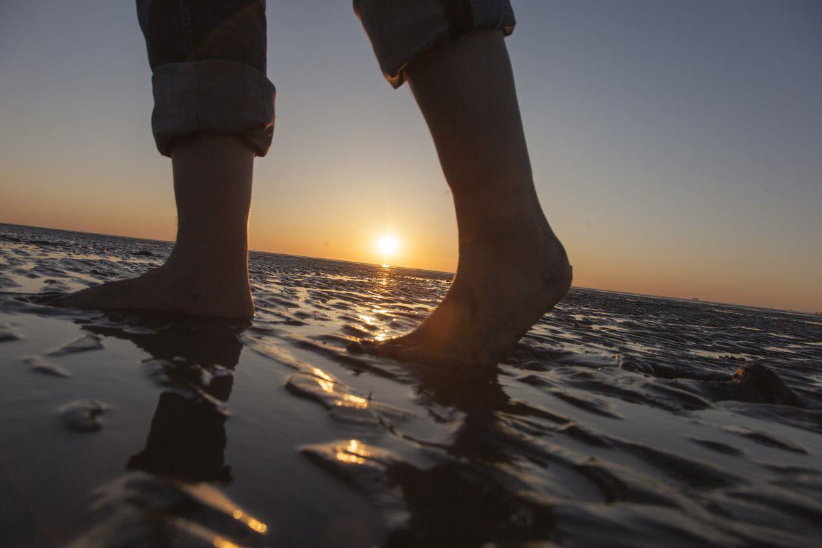 10 Dinge, die ihr beim Wattwandern beachten solltet 10 Dinge, die ihr beim Wattwandern beachten solltet